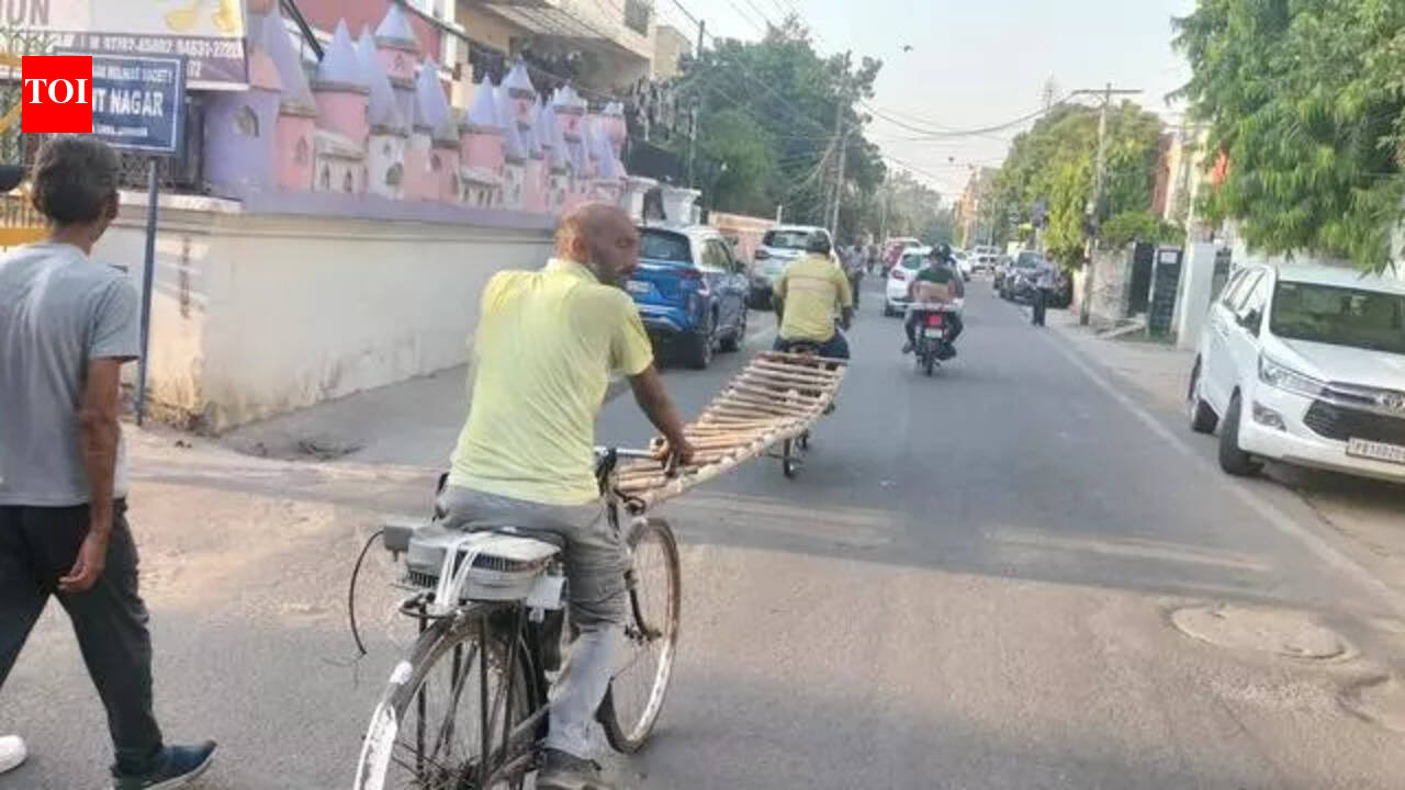 The Times of India - Politics - News Image