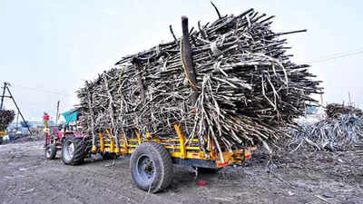 MoU signed to promote sugar cane industries in state