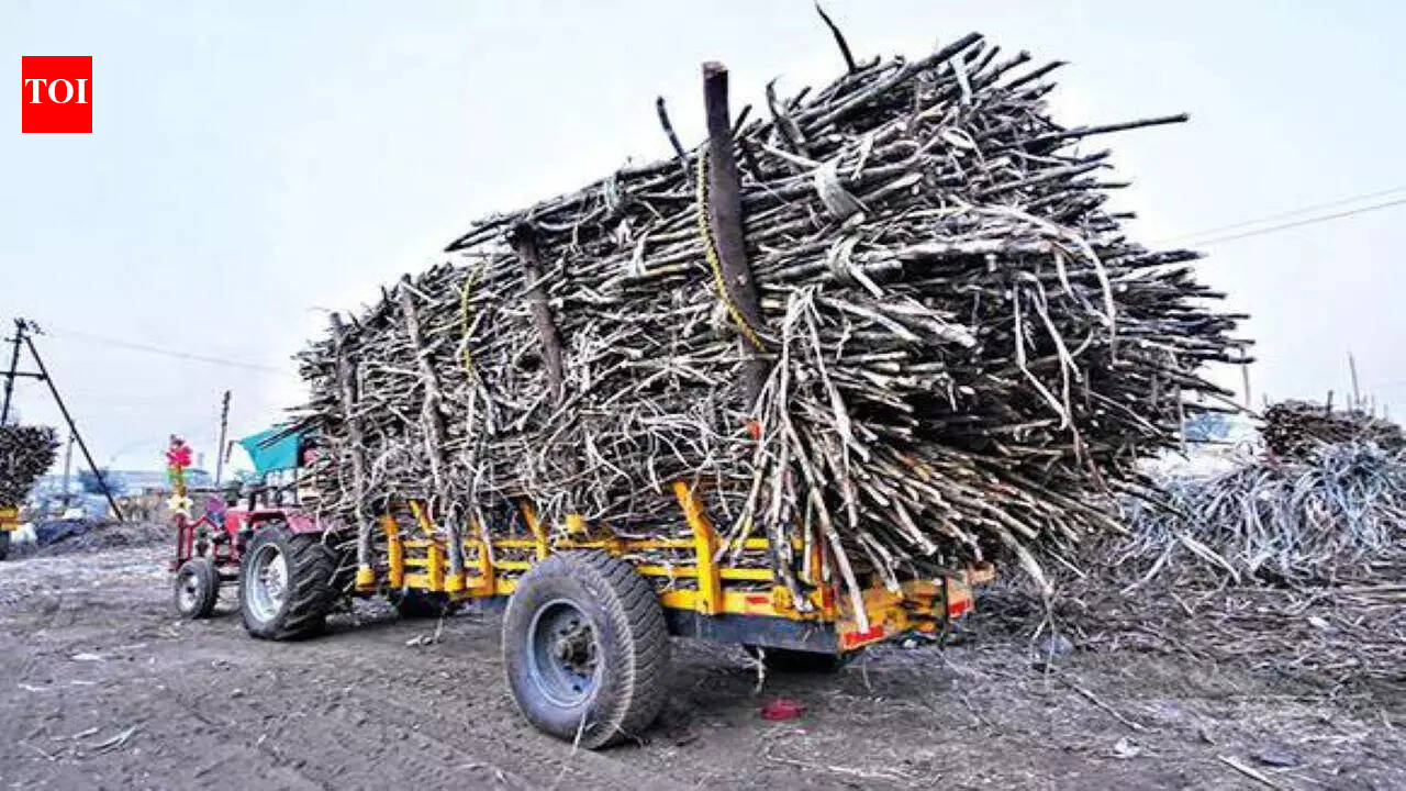MoU signed to promote sugar cane industries in state