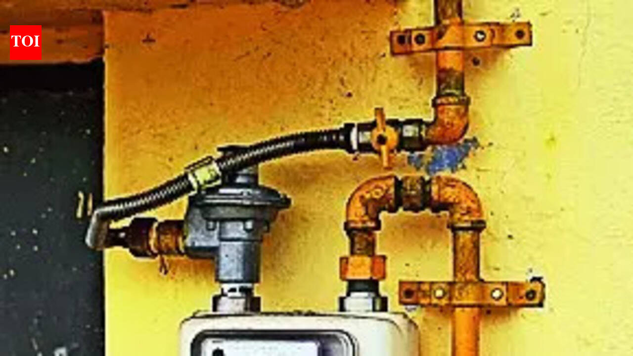 Expedite pending PNG connections, Bhojpur DM directs suppliers