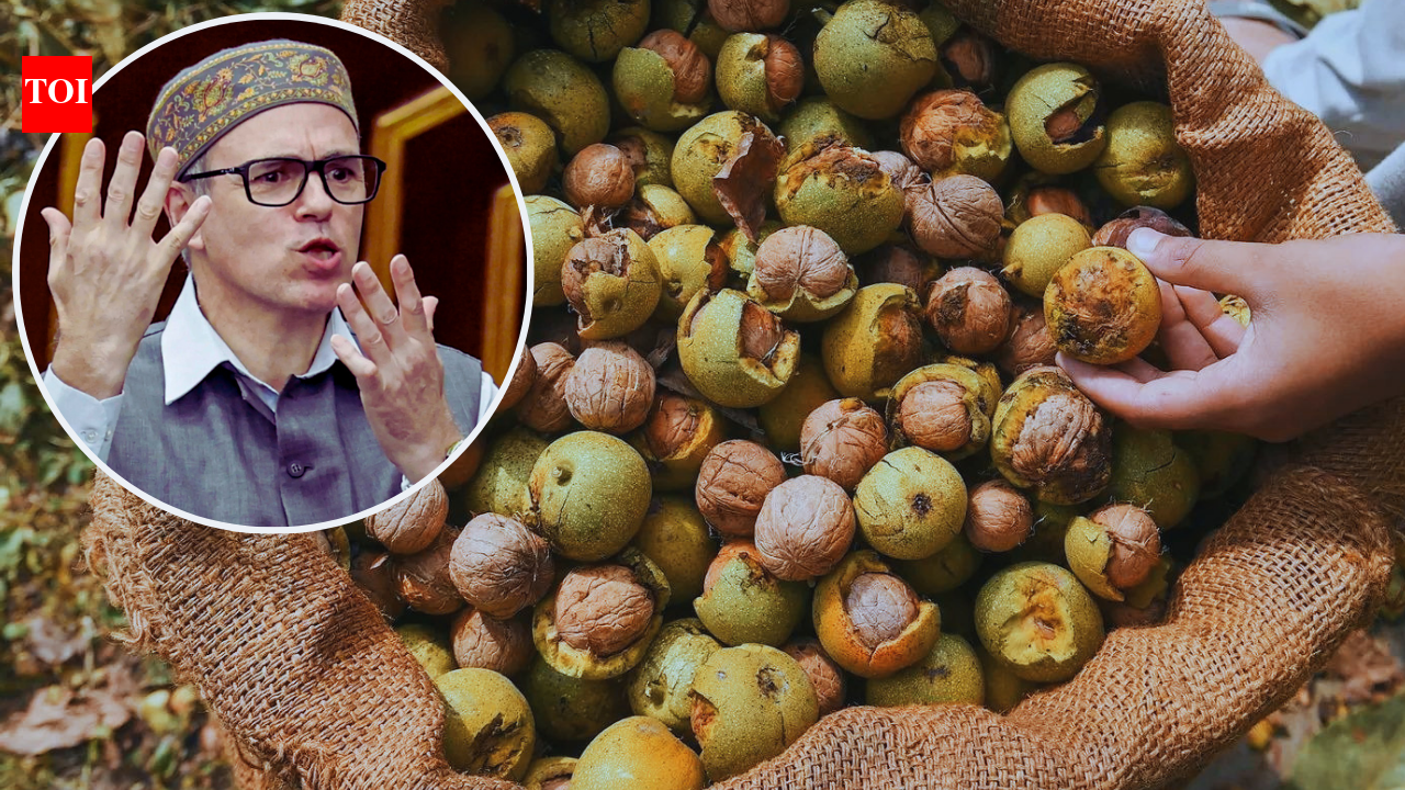 Omar backs 57-yr-old walnut felling ban law in Assembly, links it to economy, Kashmir’s identity