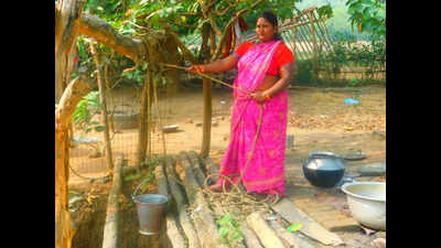 Fearing long treks, animal attacks, Odisha woman digs 40ft well