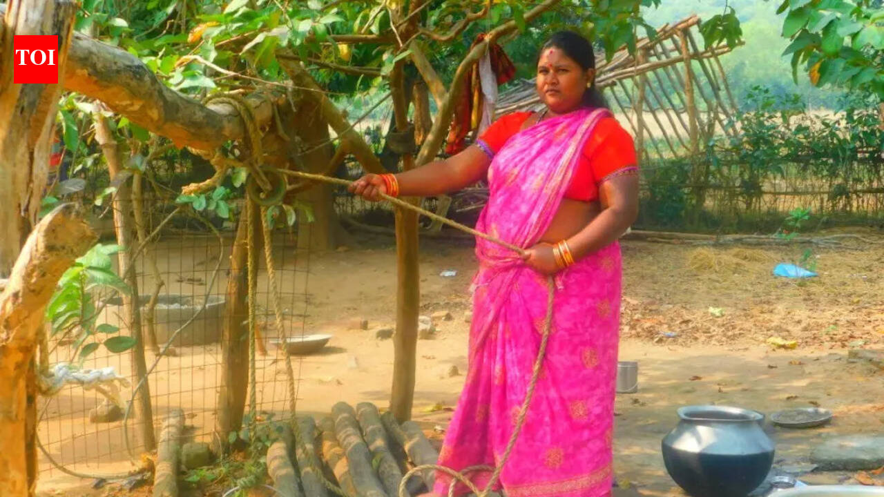 Fearing long treks, animal attacks, Odisha woman digs 40ft well