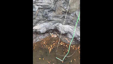 Rare four-horned antelope falls into well in Raigad village, rescued