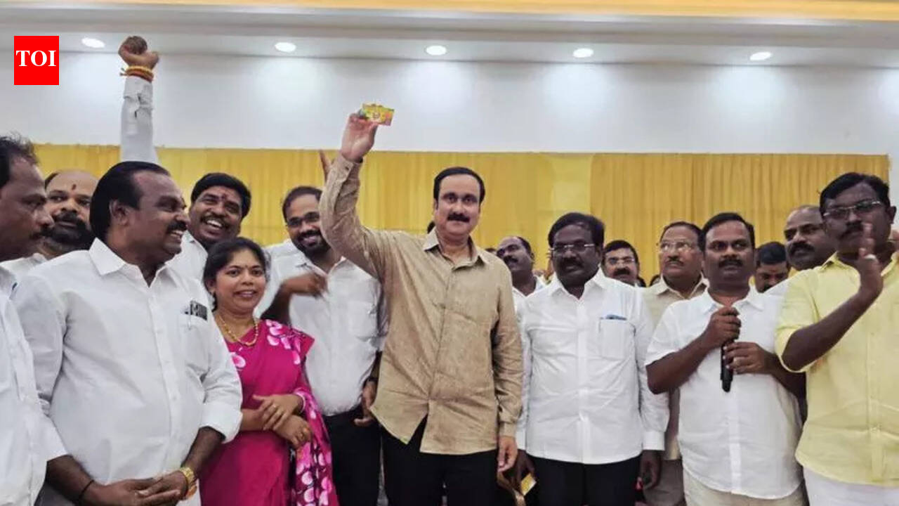 The Times of India - Entertainment - News Image