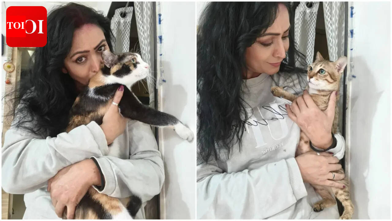 Shivani Gosain shares her love for cats: I have become quite calm, they are like angels, changed my life
