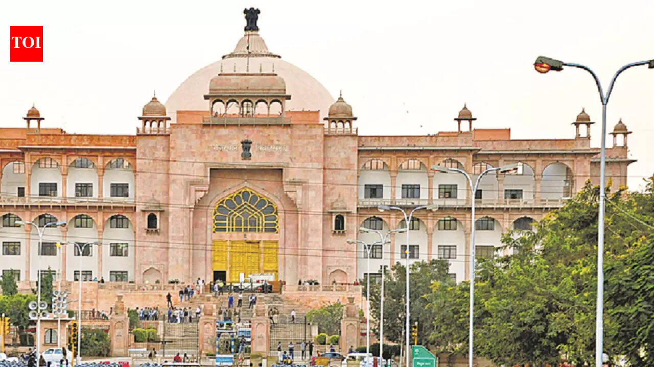 Rajasthan high court tears into transgender bill: 'Gender identity a right'