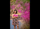 Bougainvillea, frangipani and the magic of Goa summers