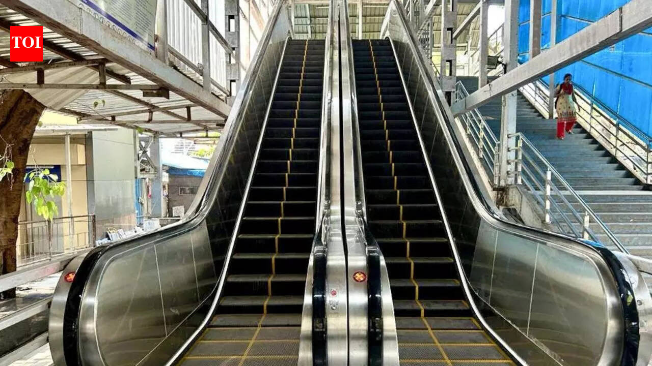 The Times of India - Business - News Image