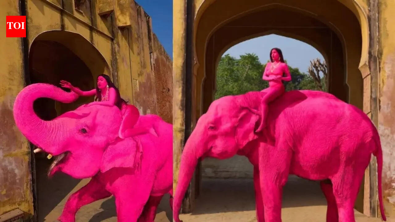 Russian photographer’s ‘pink elephant’ shoot in Jaipur sparks animal safety concern