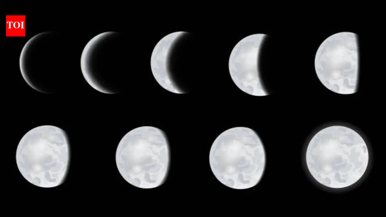 Curiosity corner for kids: Why does the Moon change shape?