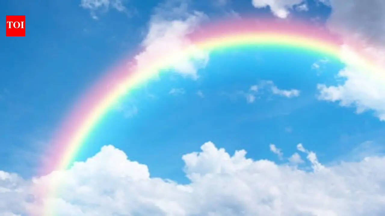 Curiosity corner for kids: What makes a rainbow?
