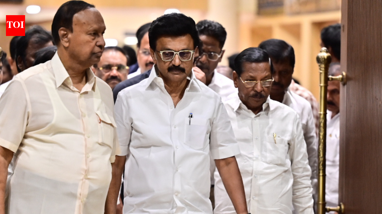Tamil Nadu elections: CM MK Stalin files nomination, declares assets of Rs 6.2cr
