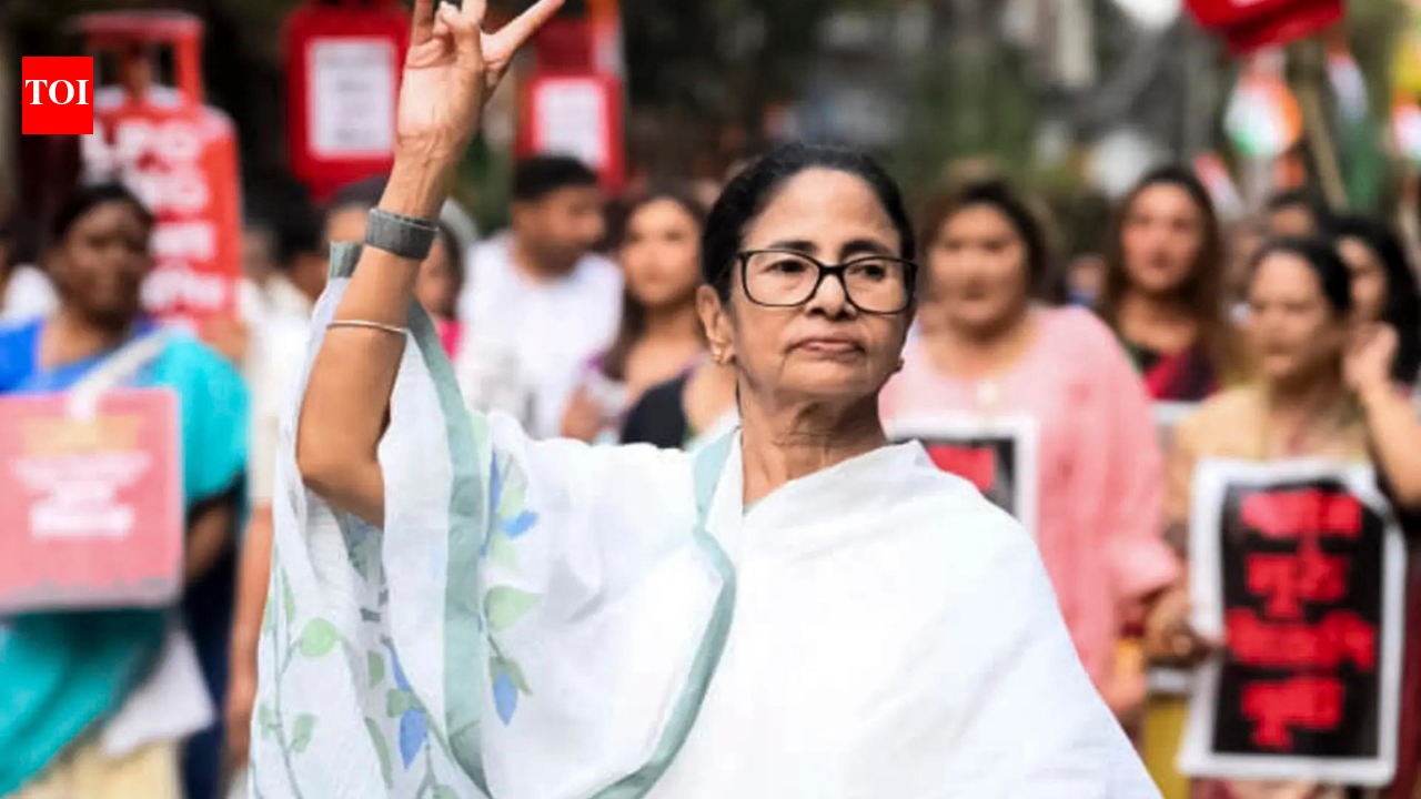 'Consider me your candidate in all 294 seats': Mamata Banerjee's pitch in Bengal battle