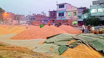 Punjab grain markets face arhtiya strike from April 1 ahead of wheat harvest season