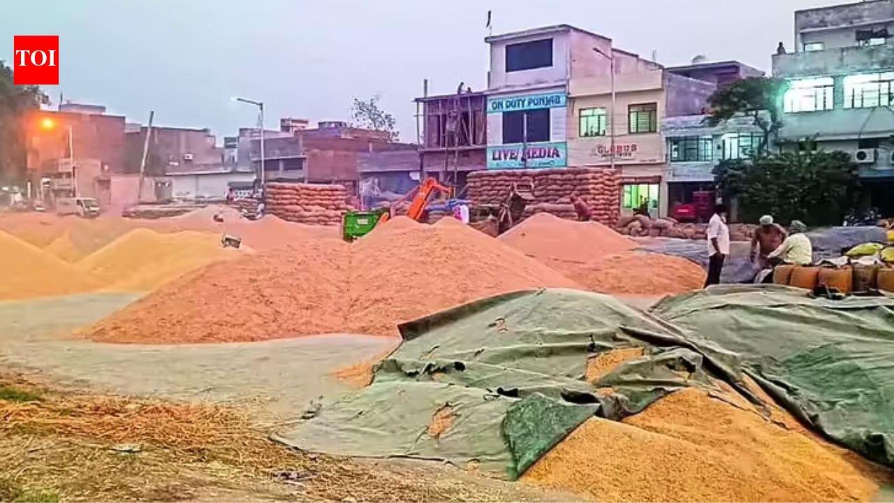 Punjab grain markets face arhtiya strike from April 1 ahead of wheat harvest season