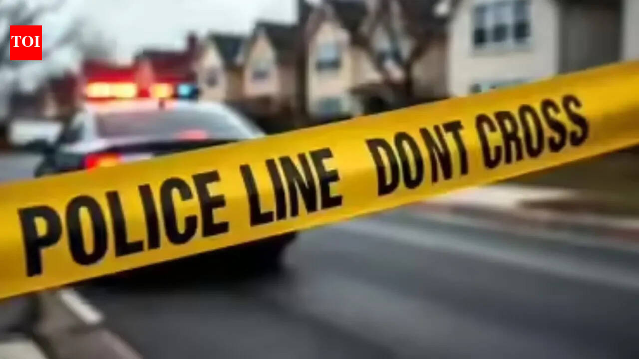 Children playing near South Carolina creek mistake ‘rock’ for human skull, 50 more bones unearthed later