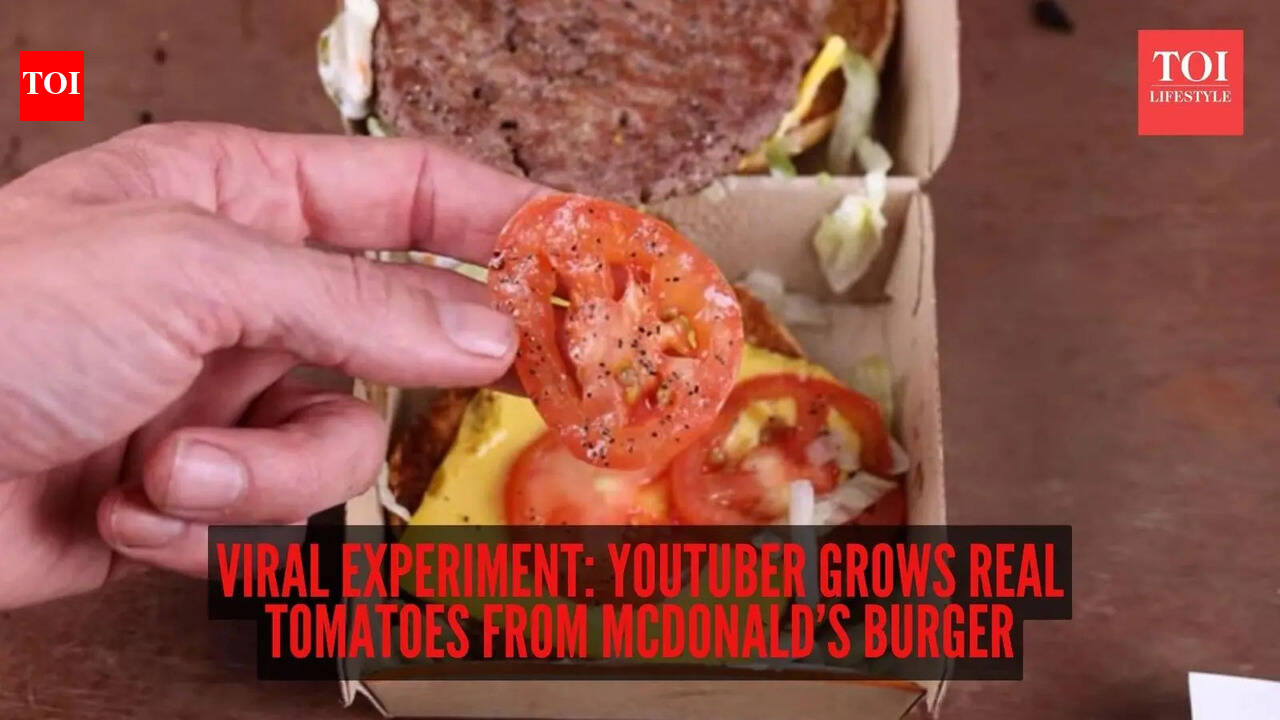 Viral experiment: YouTuber grows real tomatoes from McDonald’s burger