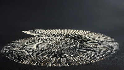 Craft and architecture converge in upcoming Delhi exhibition