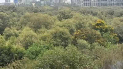 Mumbai trekkers rescued from Garbett Point in Matheran