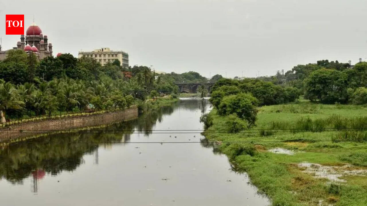 The Times of India - Politics - News Image