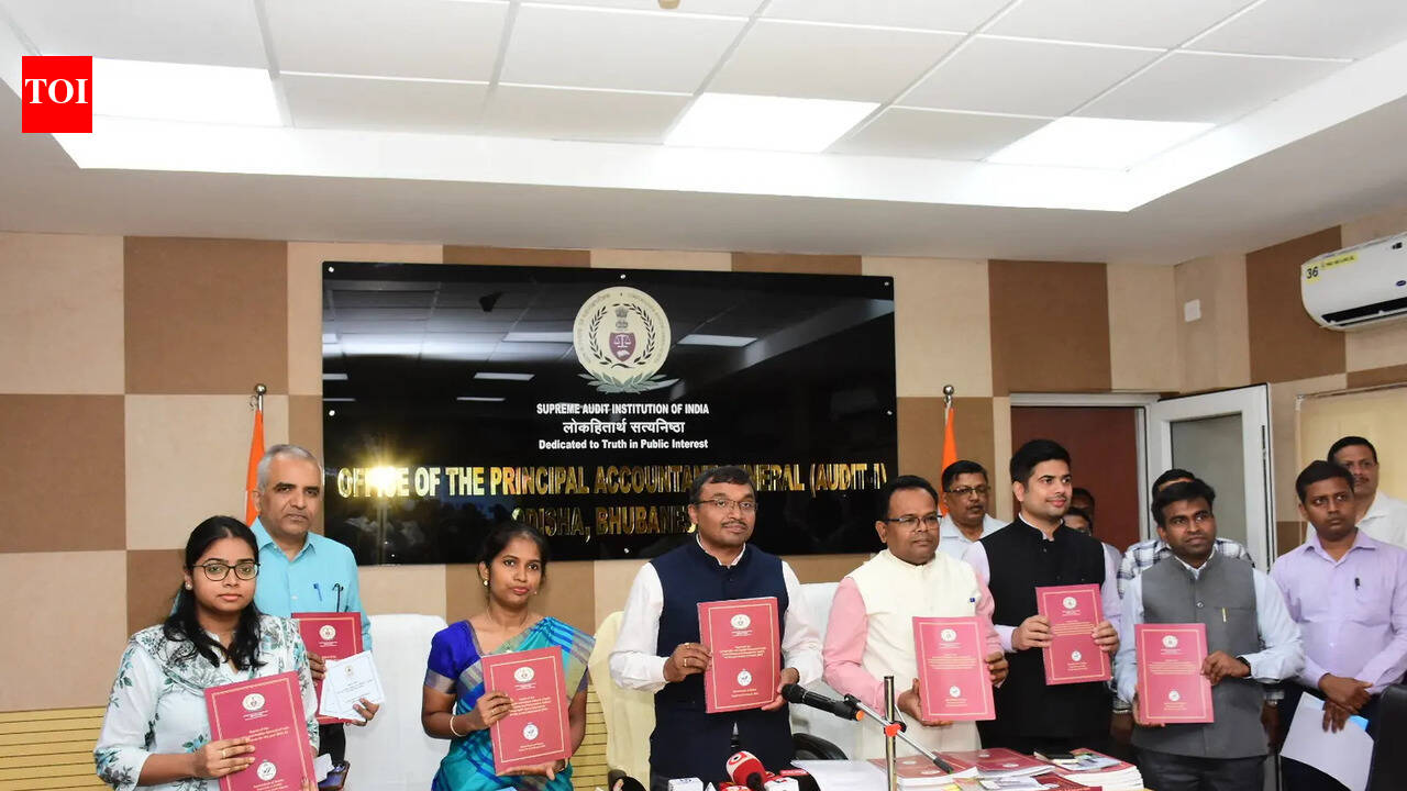 Rs 76cr revenue loss for failure to penalise delayed projects: CAG