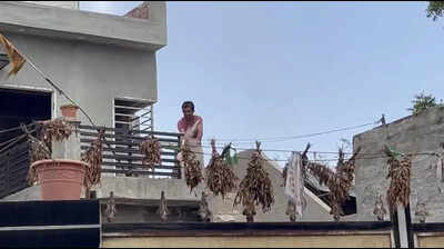Vigilante justice meets police wall in Mansa; house saved