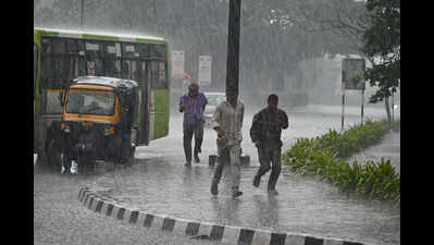 Light rain likely till April 6