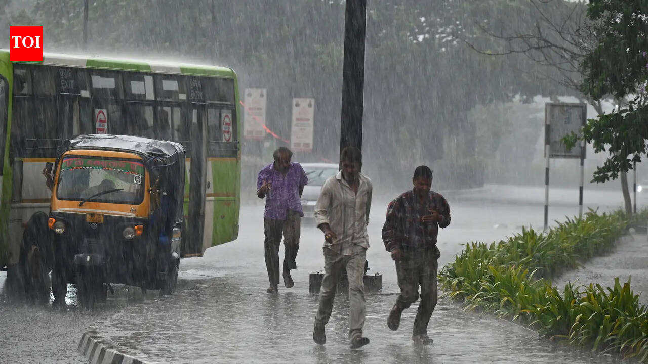 Light rain likely till April 6