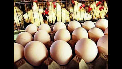UP’s stamping rule for eggs comes into effect from today. What changes for sellers and for you