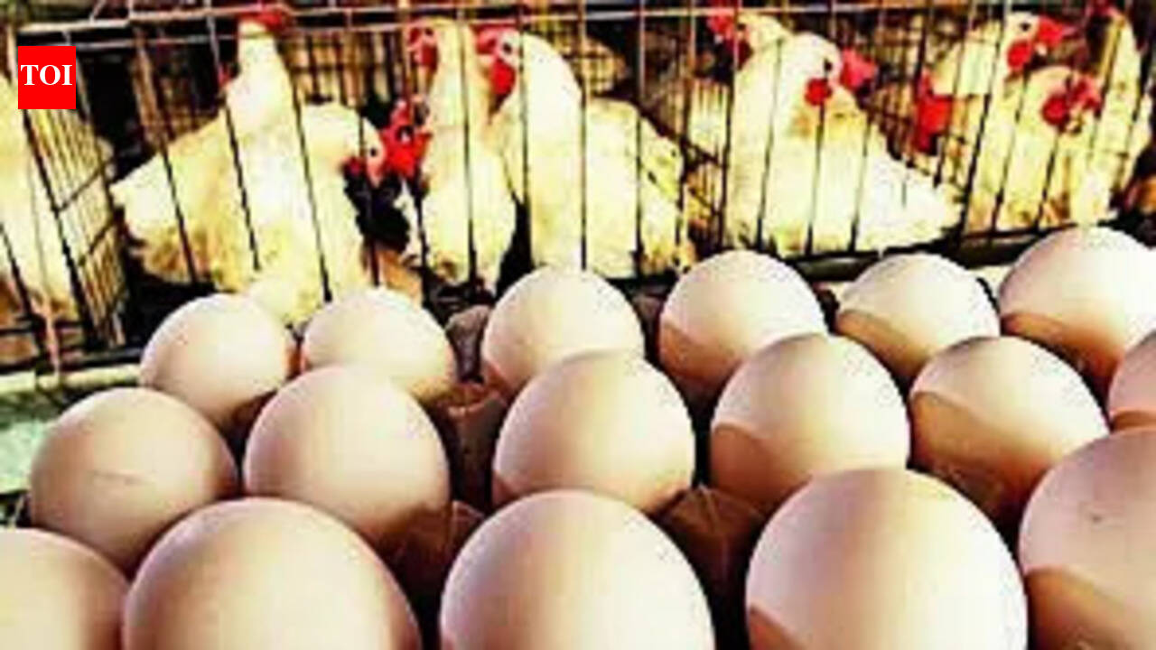 UP’s stamping rule for eggs comes into effect from today. What changes for sellers and for you