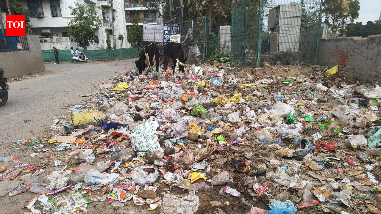 MCG floats ₹7 crore stopgap plan on day extended sweeping contracts end