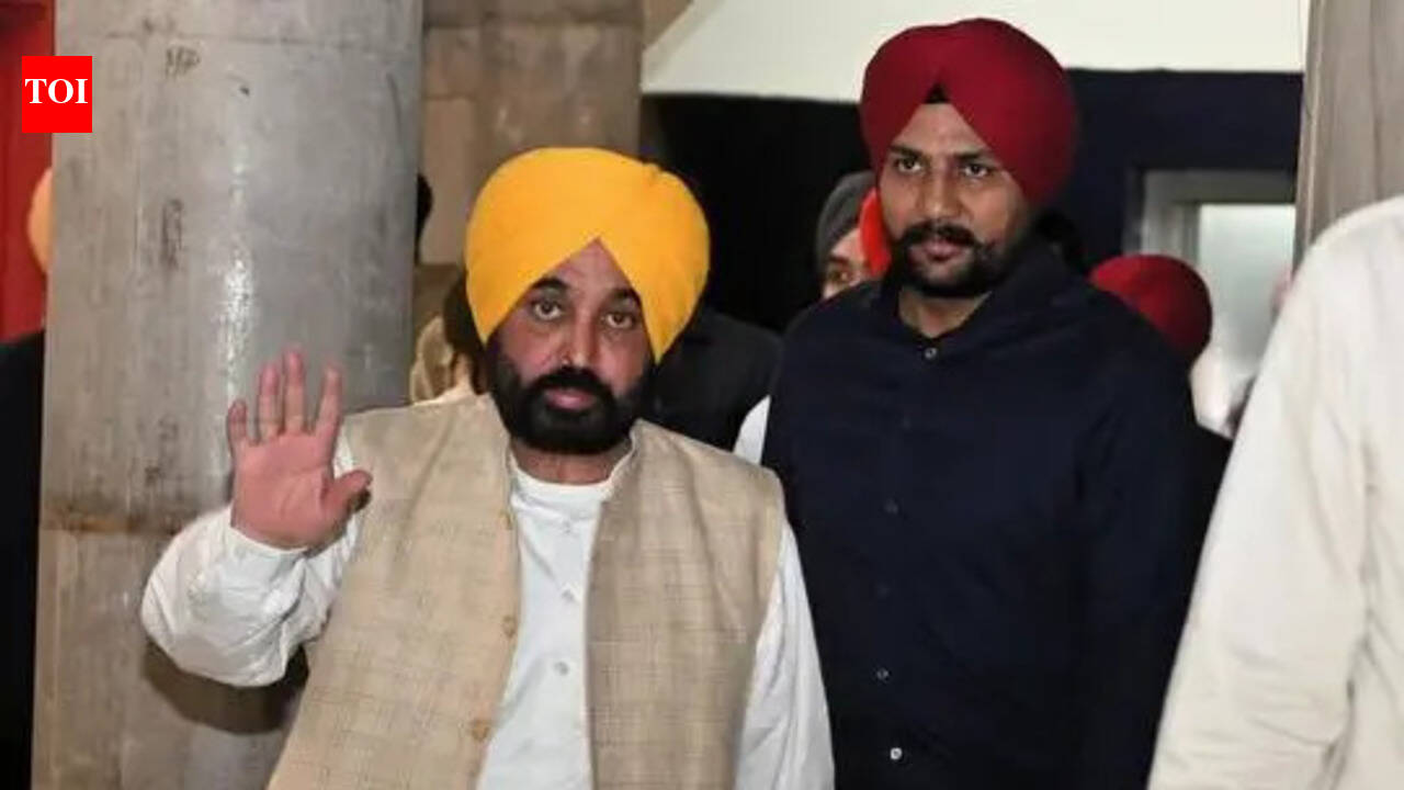 The Times of India - Politics - News Image