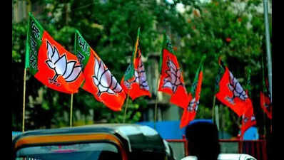 BJP mulls stronger representation of Gurjars in west UP