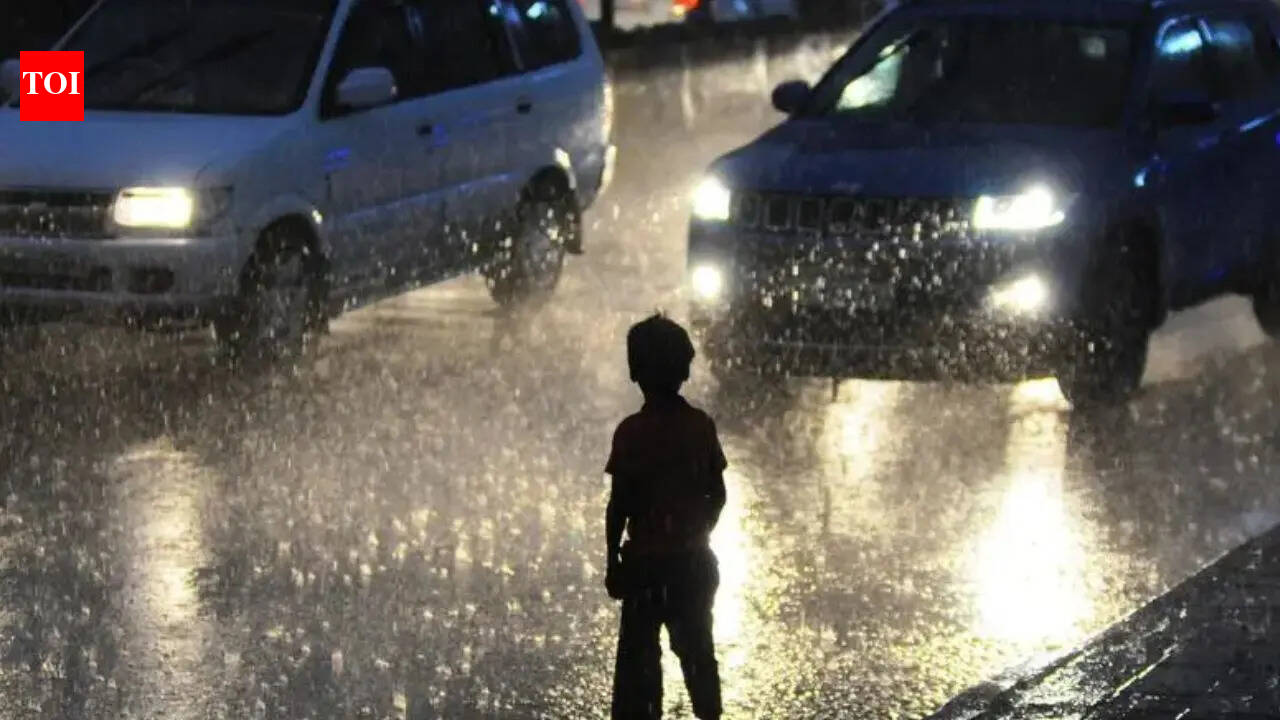 Relief from heat in Maharashtra? Summer days likely to be cooler in state, says IMD