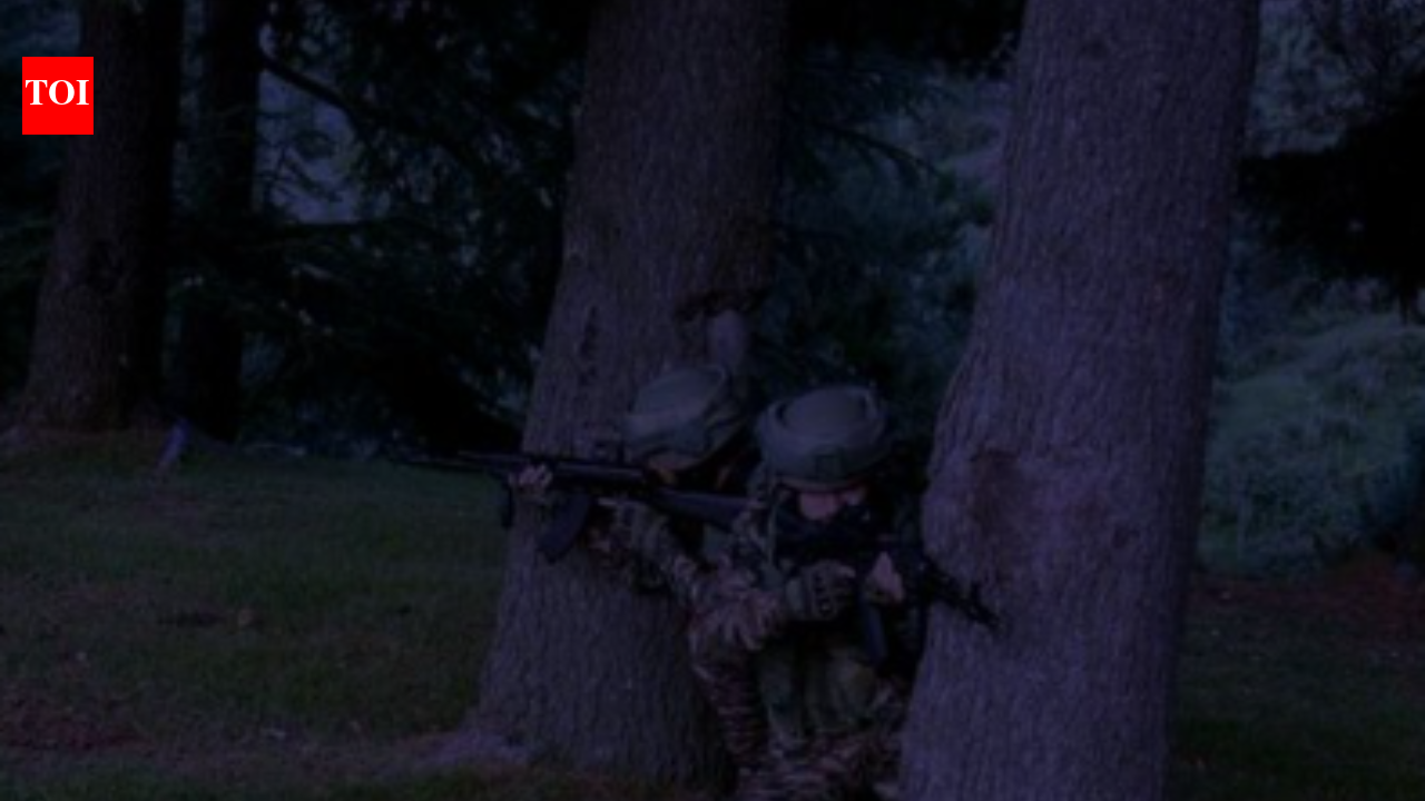 'Troops observed suspicious activity': Terrorist killed in overnight encounter in J&amp;K’s Ganderbal