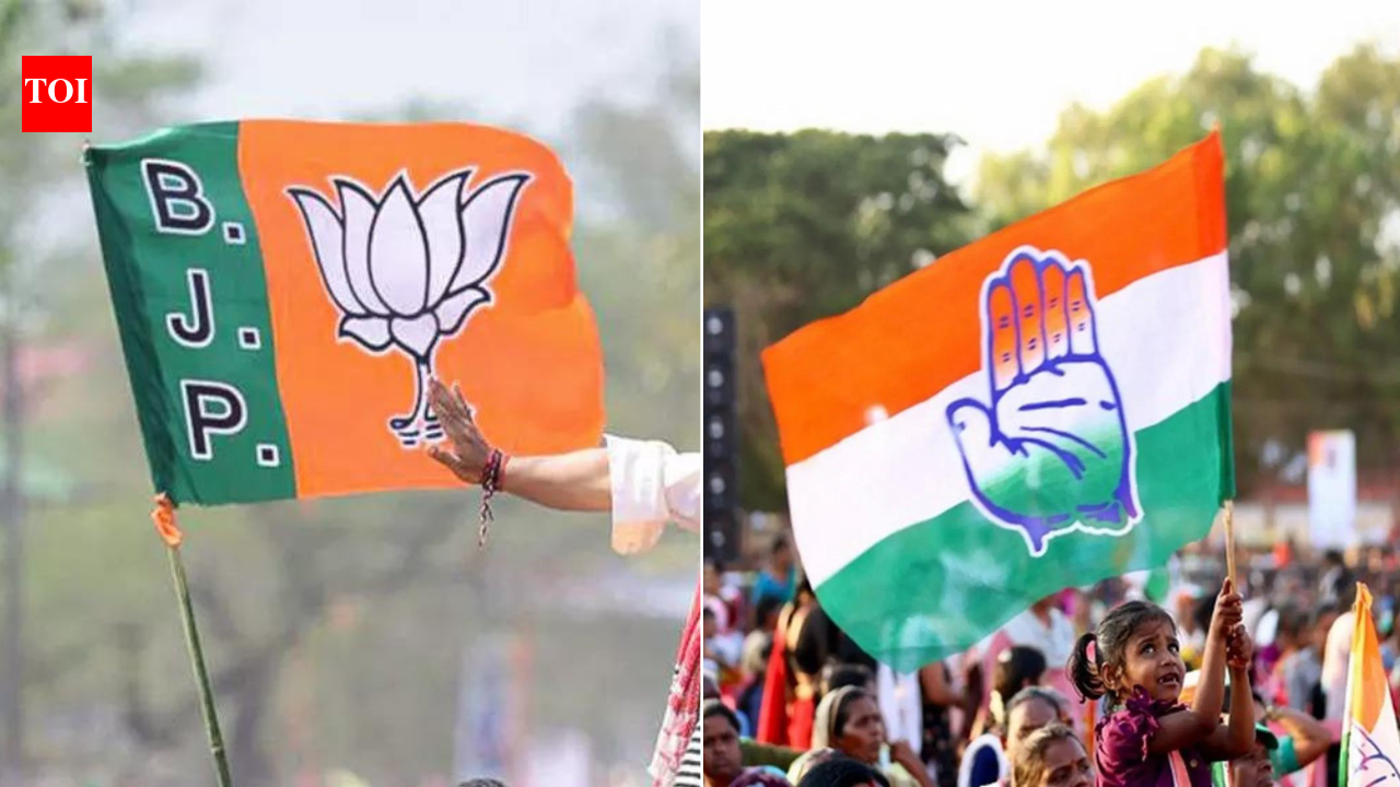 Assam's re-contesting MLAs get 80% richer in 5 yrs; which party saw biggest jump?