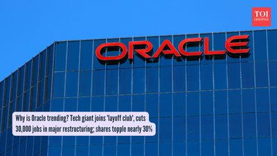 Why is Oracle trending? Tech giant joins 'layoff club', cuts 30,000 jobs in major restructuring; shares topple nearly 30%