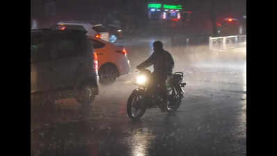 Four people killed in rain-related tragedies in Maha; crops and fruits over 64,573 hectares damaged across 28 districts