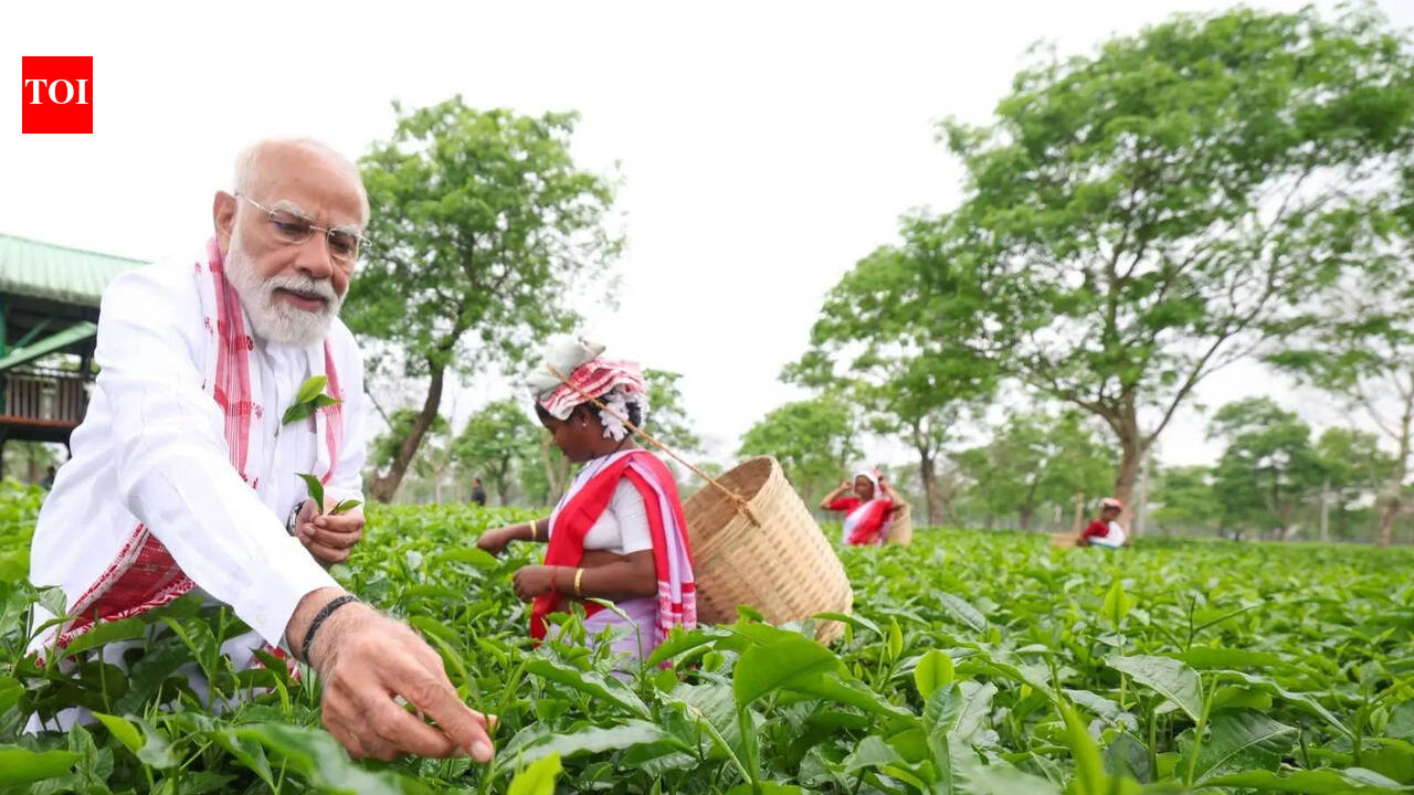PM Modi visits Assam tea garden, plucks leaves, takes selfies with workers, calls it ‘memorable experience’ | India News – The Times of India