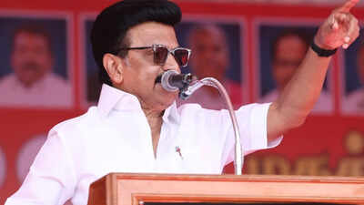 If NDA comes to power in Tamil Nadu, it won’t hesitate to rename state ‘Dakshin Pradesh’: MK Stalin