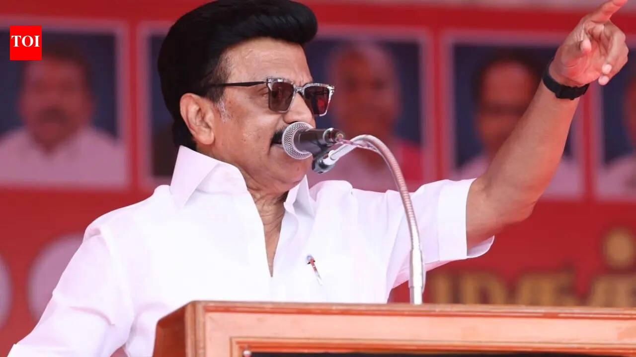 If NDA comes to power, it won't hesitate to rename Tamil Nadu as 'Dakshin Pradesh': Stalin