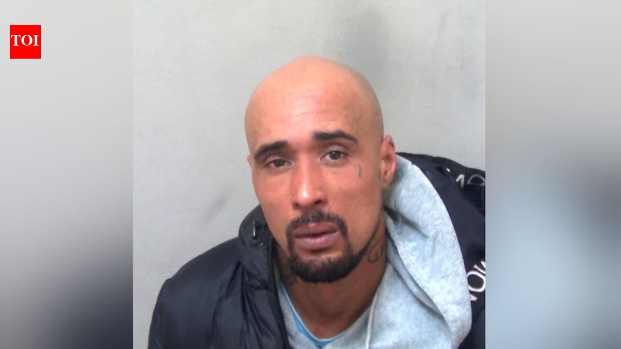 Mauled to death by XL bully dogs: UK rapper jailed for mother-in-law’s fatal death in canine attack