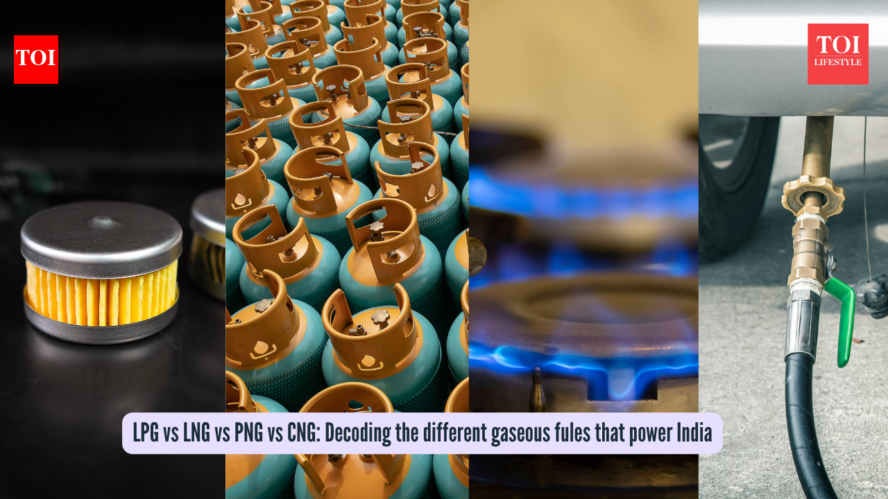 LPG vs LNG vs PNG vs CNG: Decoding the different gaseous fuels that power India