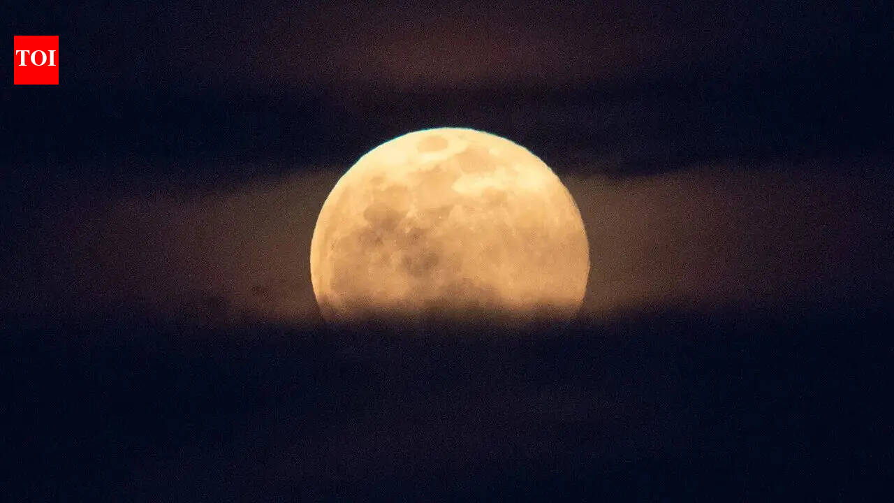 अप्रैल की पूर्णिमा, जिसे “पिंक मून” के नाम से जाना जाता है, 1 अप्रैल को चरम पर होती है: यह वास्तव में गुलाबी क्यों नहीं होगा और इसके पीछे का विज्ञान |