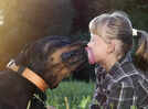 Are you feeling hot and cold on the same day? So are your dogs and cats. Here's what to do