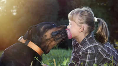 Long seasonal transition periods, like this year, are  bad for pets