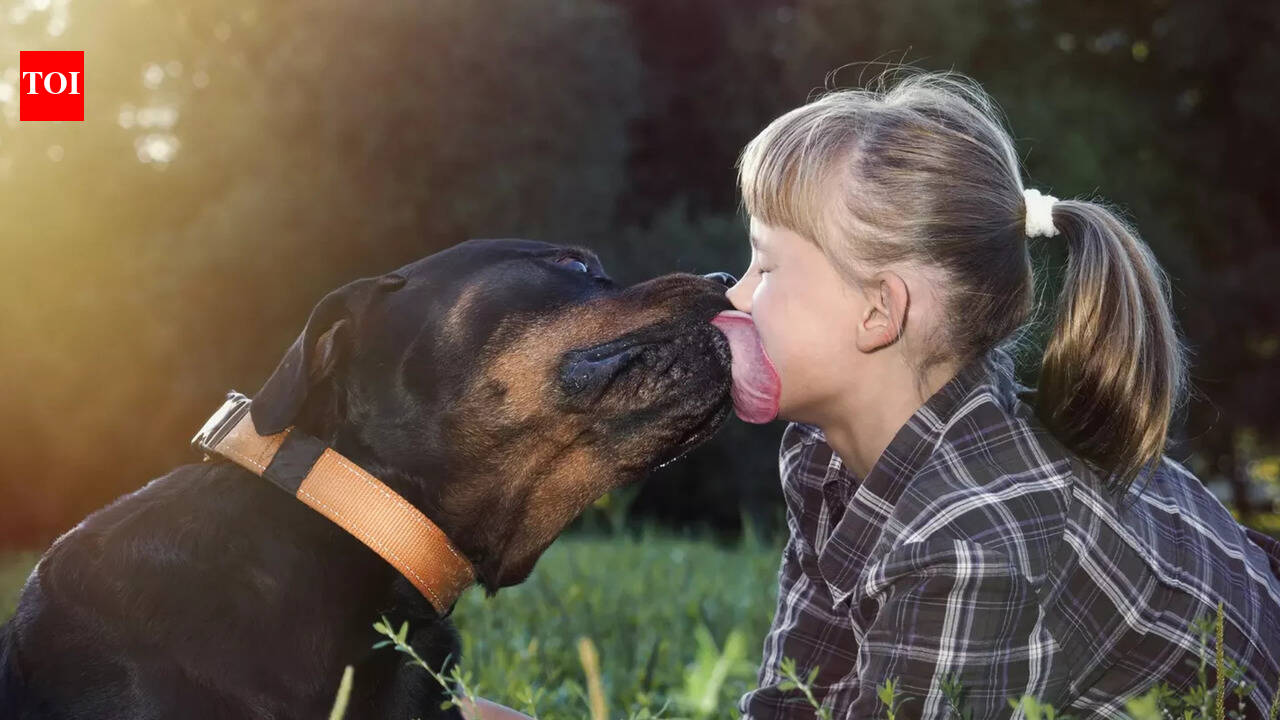 Long seasonal transition periods, like this year, are bad for pets