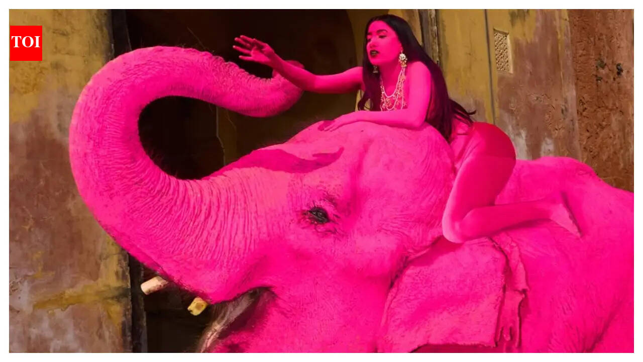 Pink elephant, red flags: Jaipur shoot sparks outrage