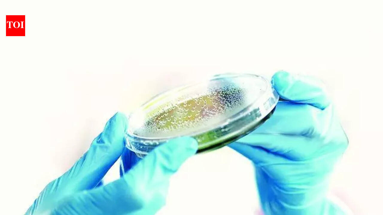 Bokaro admin steps up efforts to curb TB